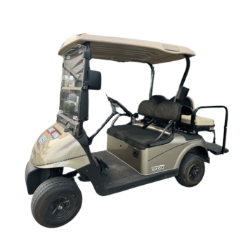 electric buggy for hire